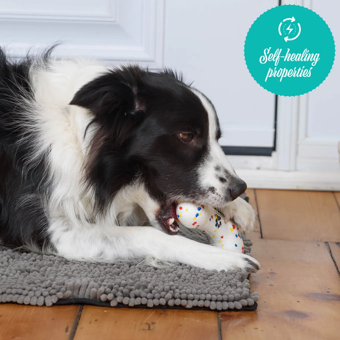Shedrow K9 FlexiPlay Bone