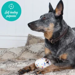 Shedrow K9 FlexiPlay Football