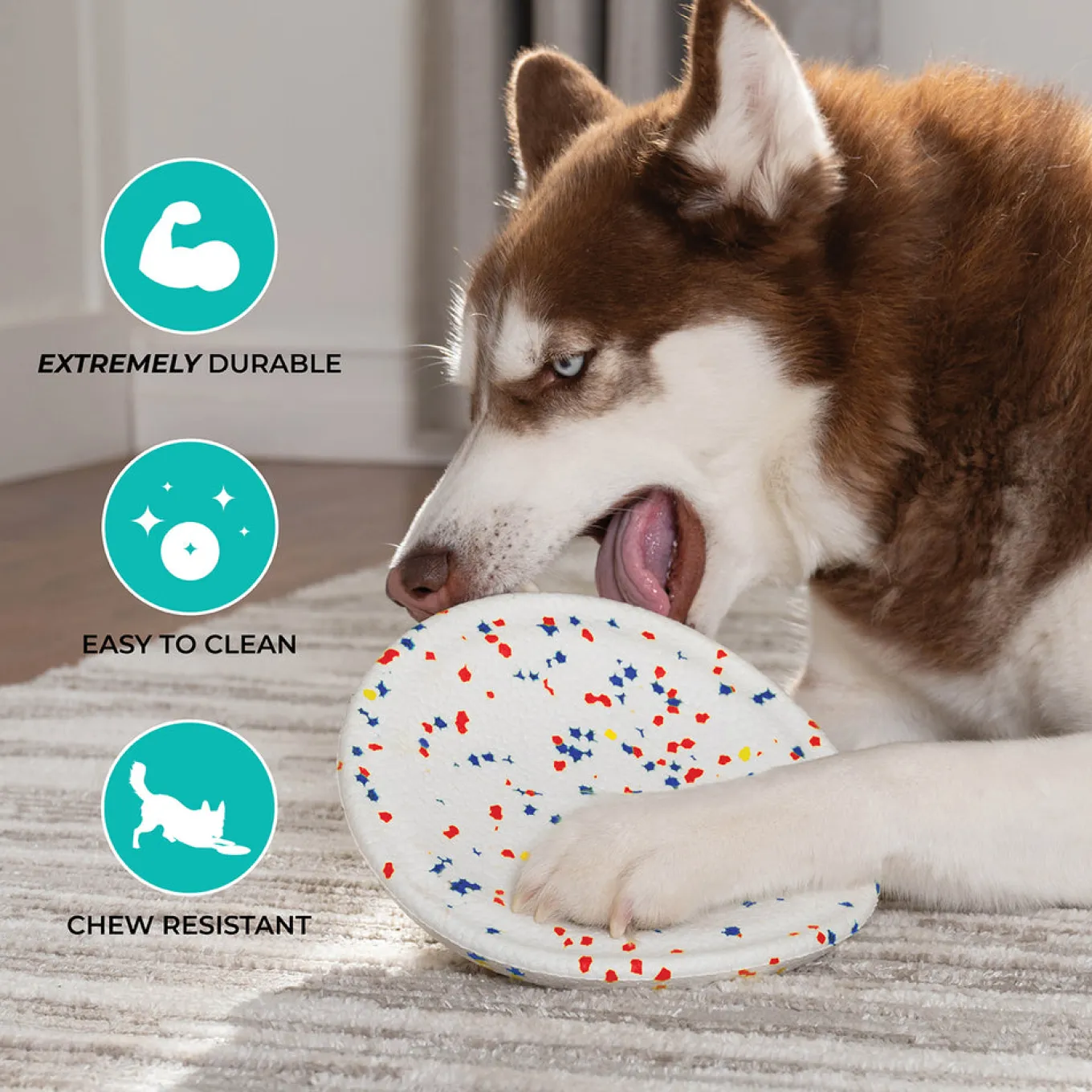 Shedrow K9 FlexiPlay Frisbee