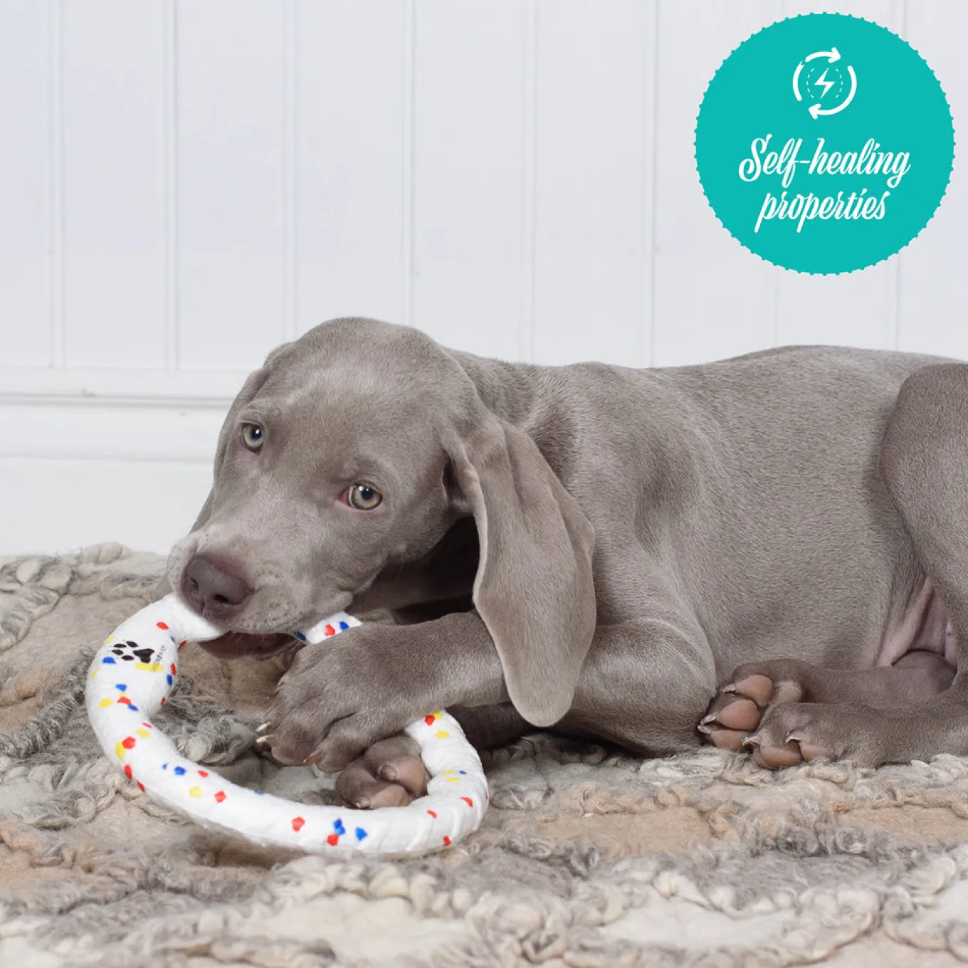 Shedrow K9 FlexiPlay Tug Ring