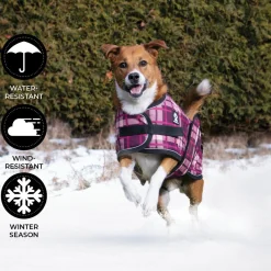 Shedrow K9 Glacier Dog Coat