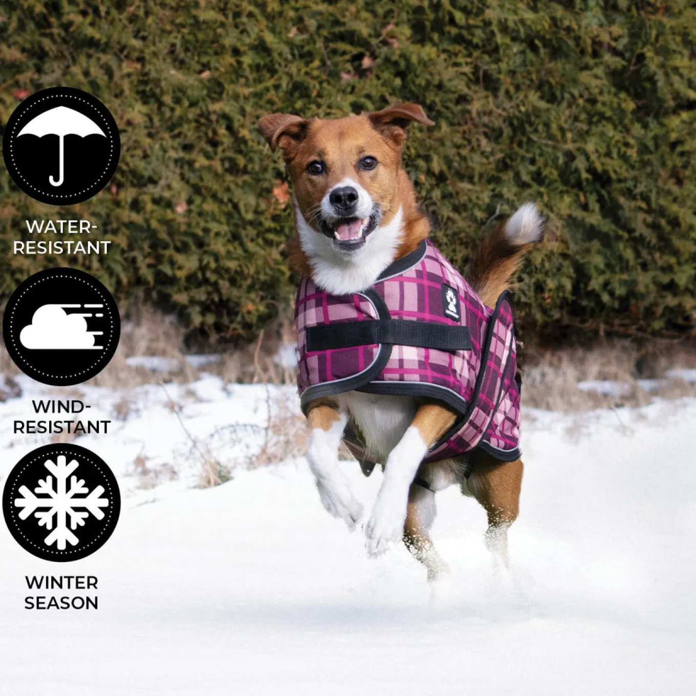Shedrow K9 Glacier Dog Coat