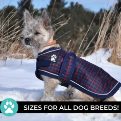 Shedrow K9 Glacier Dog Coat