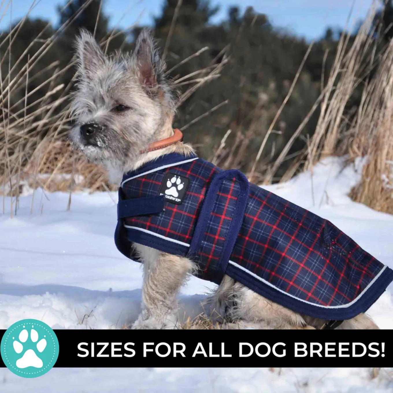 Shedrow K9 Glacier Dog Coat