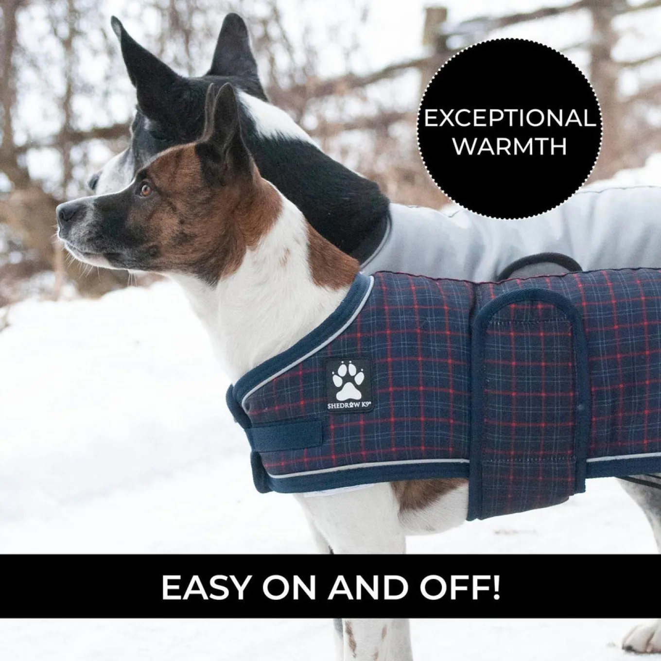 Shedrow K9 Glacier Dog Coat