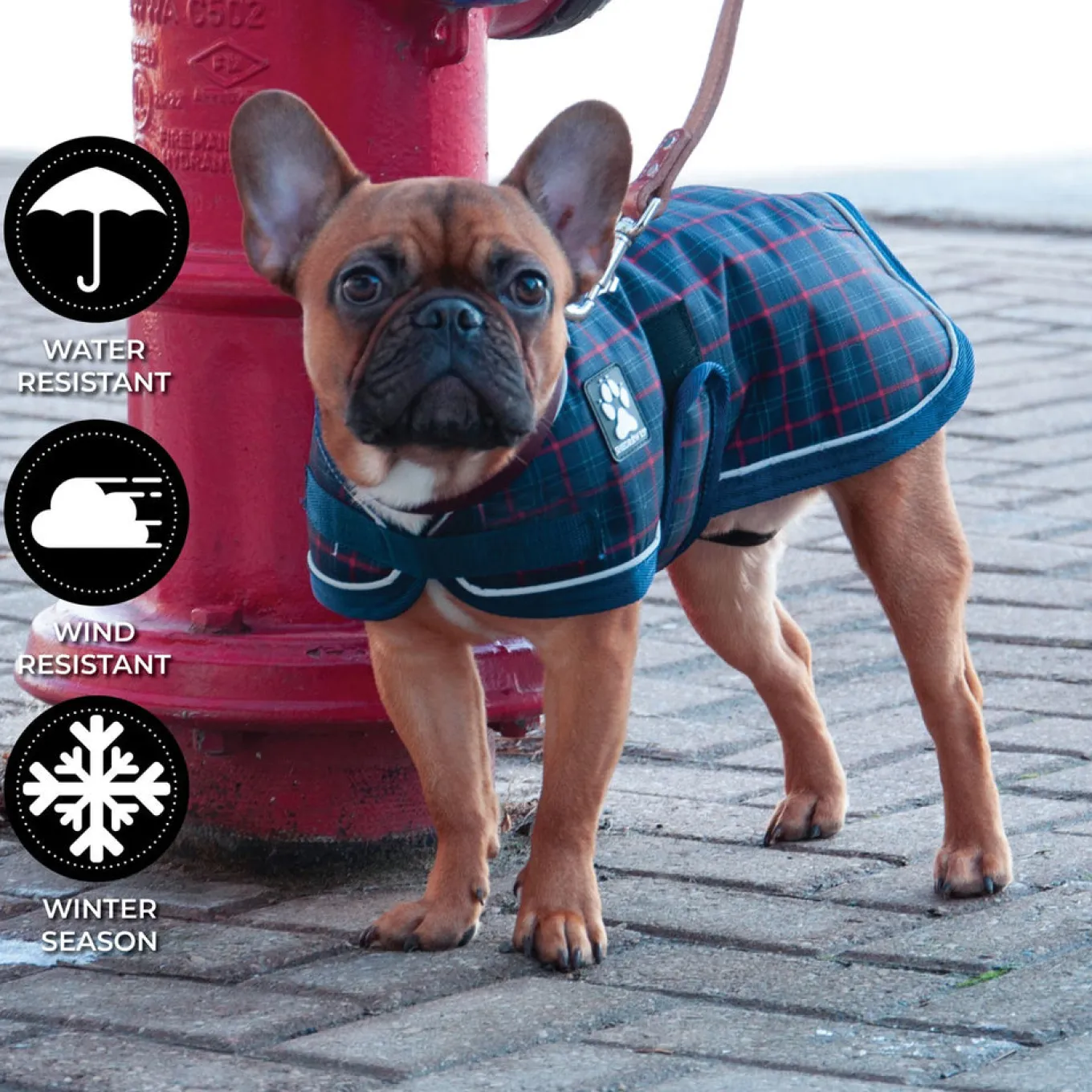 Shedrow K9 Glacier Dog Coat