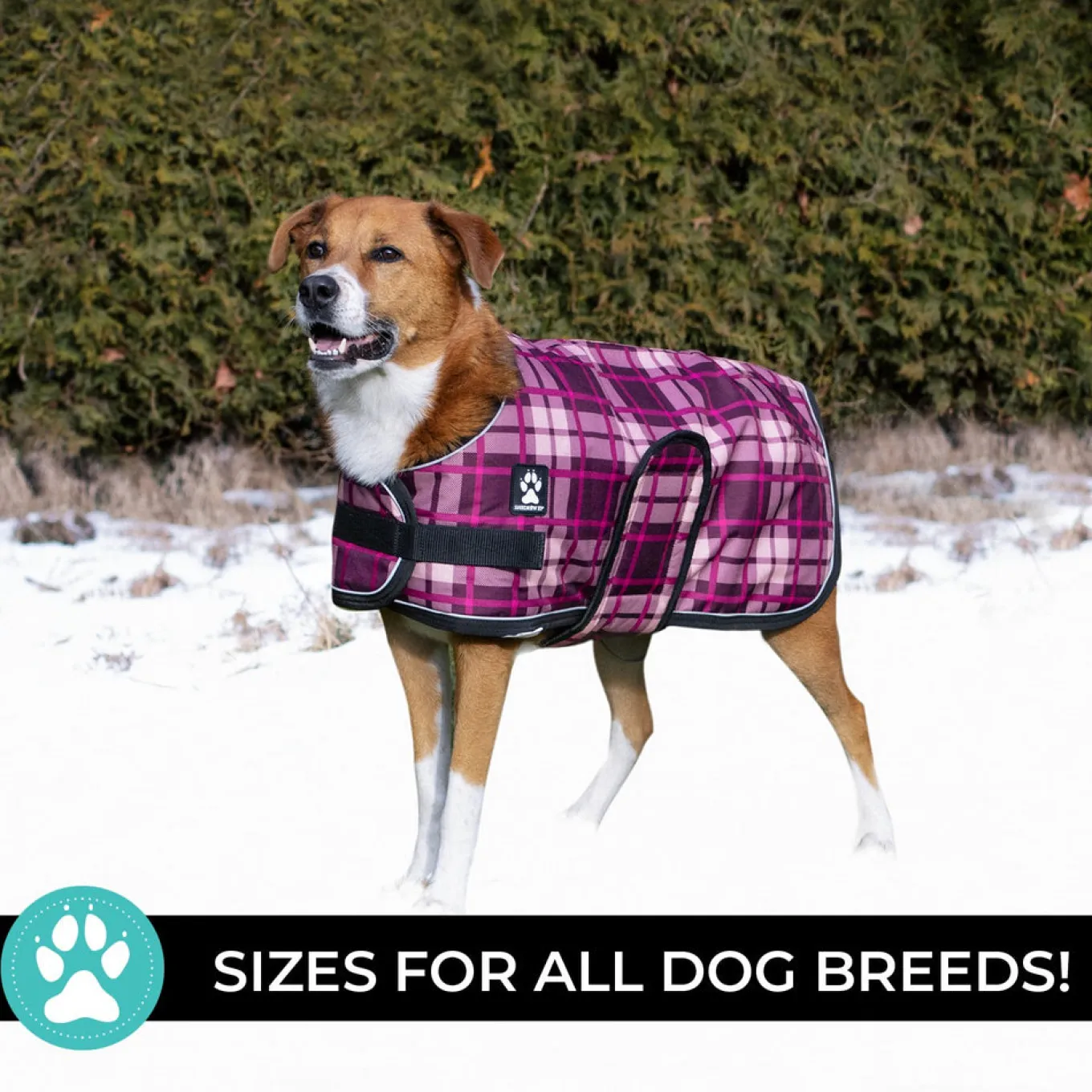 Shedrow K9 Glacier Dog Coat