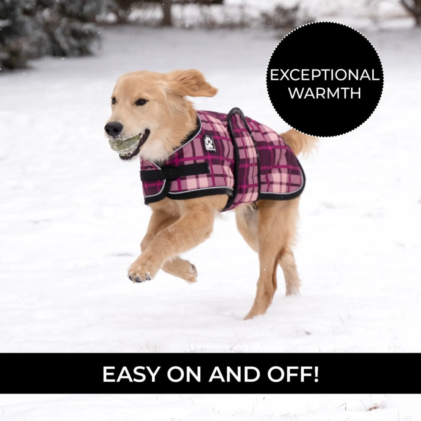 Shedrow K9 Glacier Dog Coat