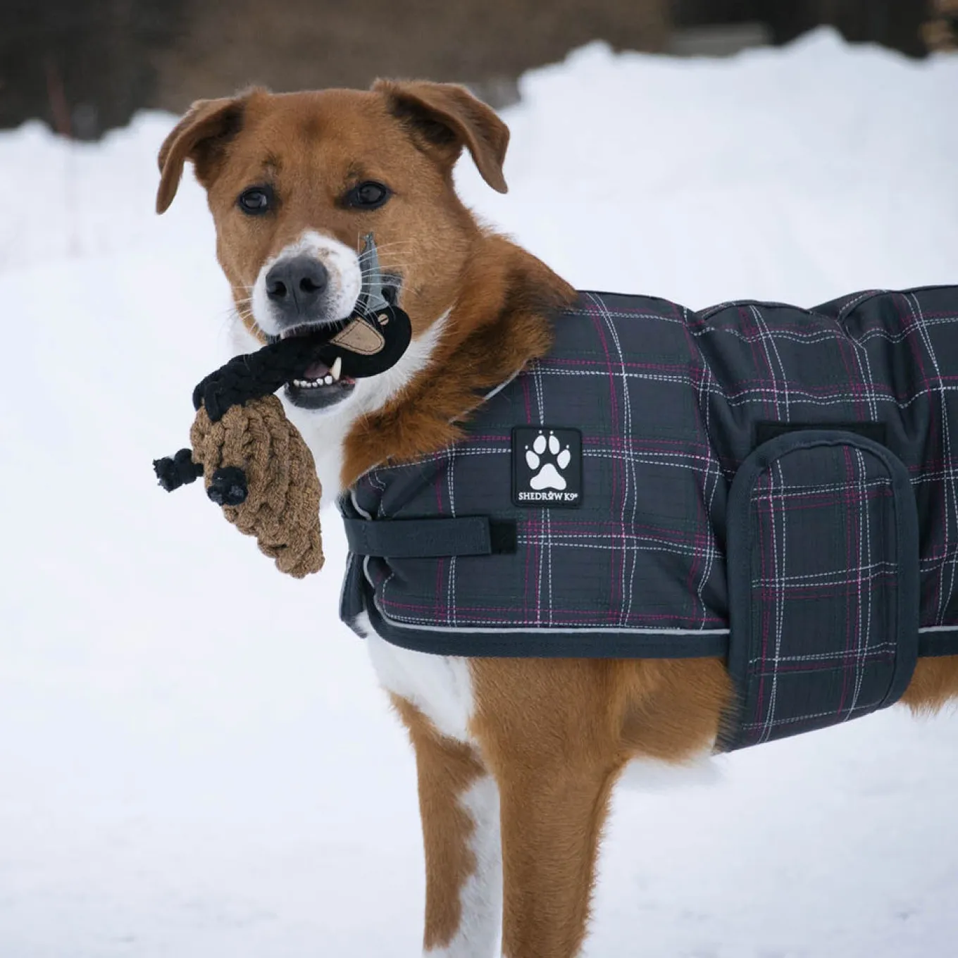 Shedrow K9 Goose Rope Dog Toy