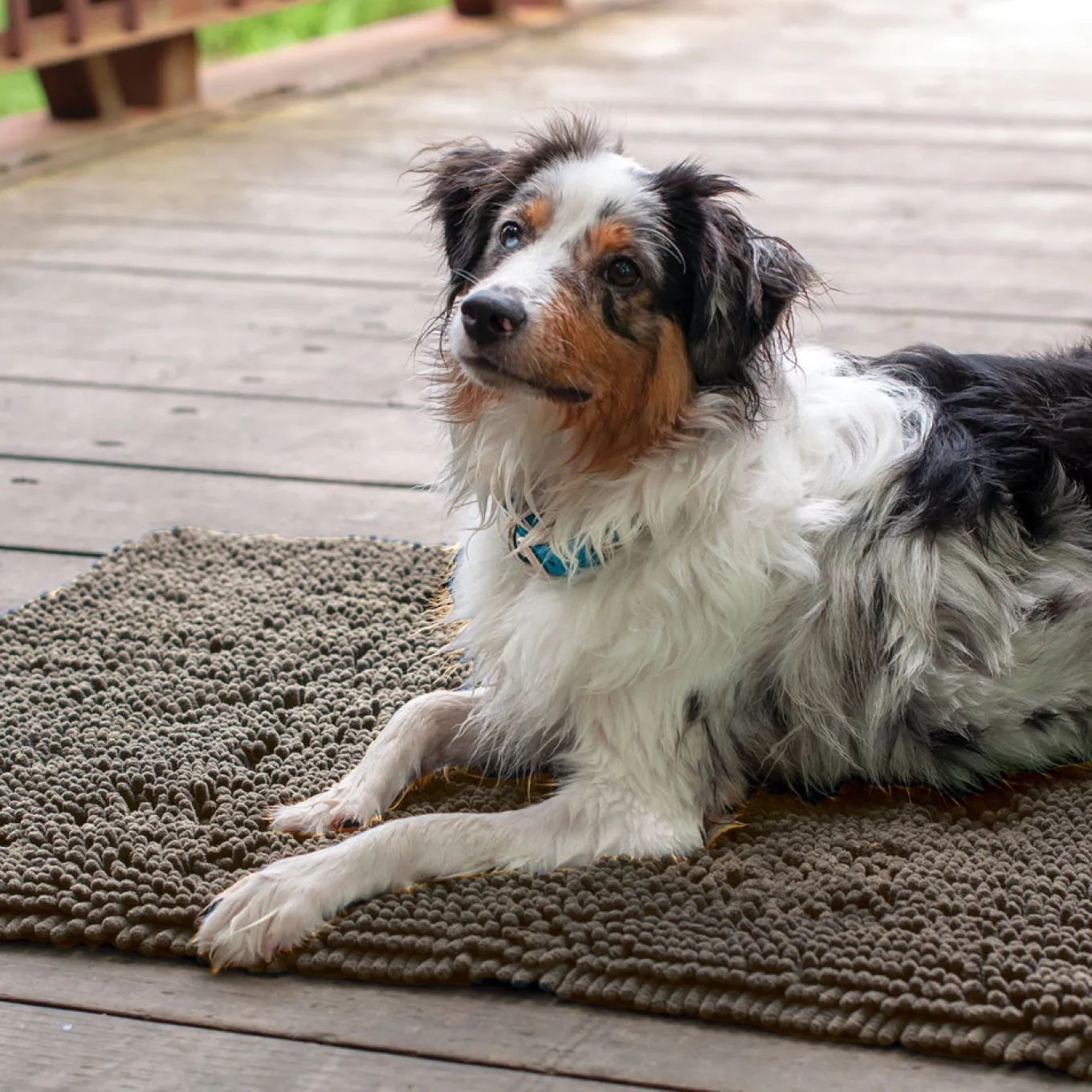 Shedrow K9 Mud Mat
