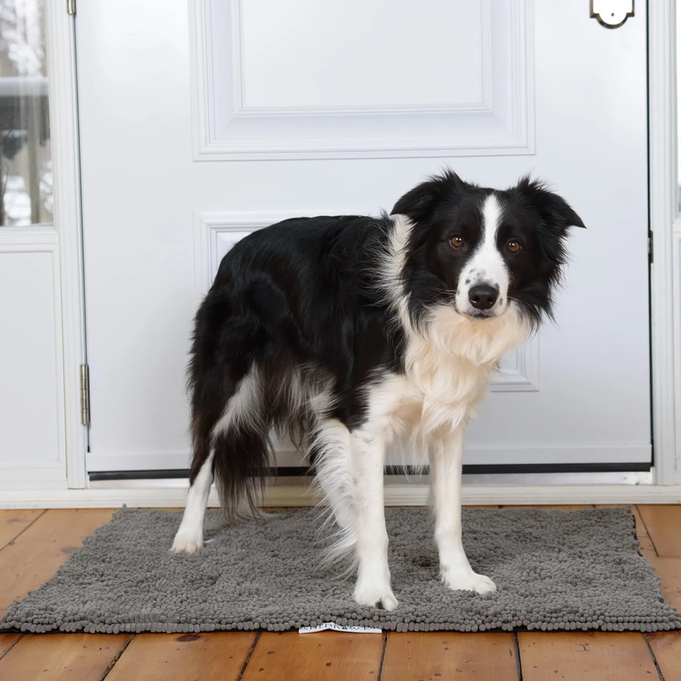 Shedrow K9 Mud Mat