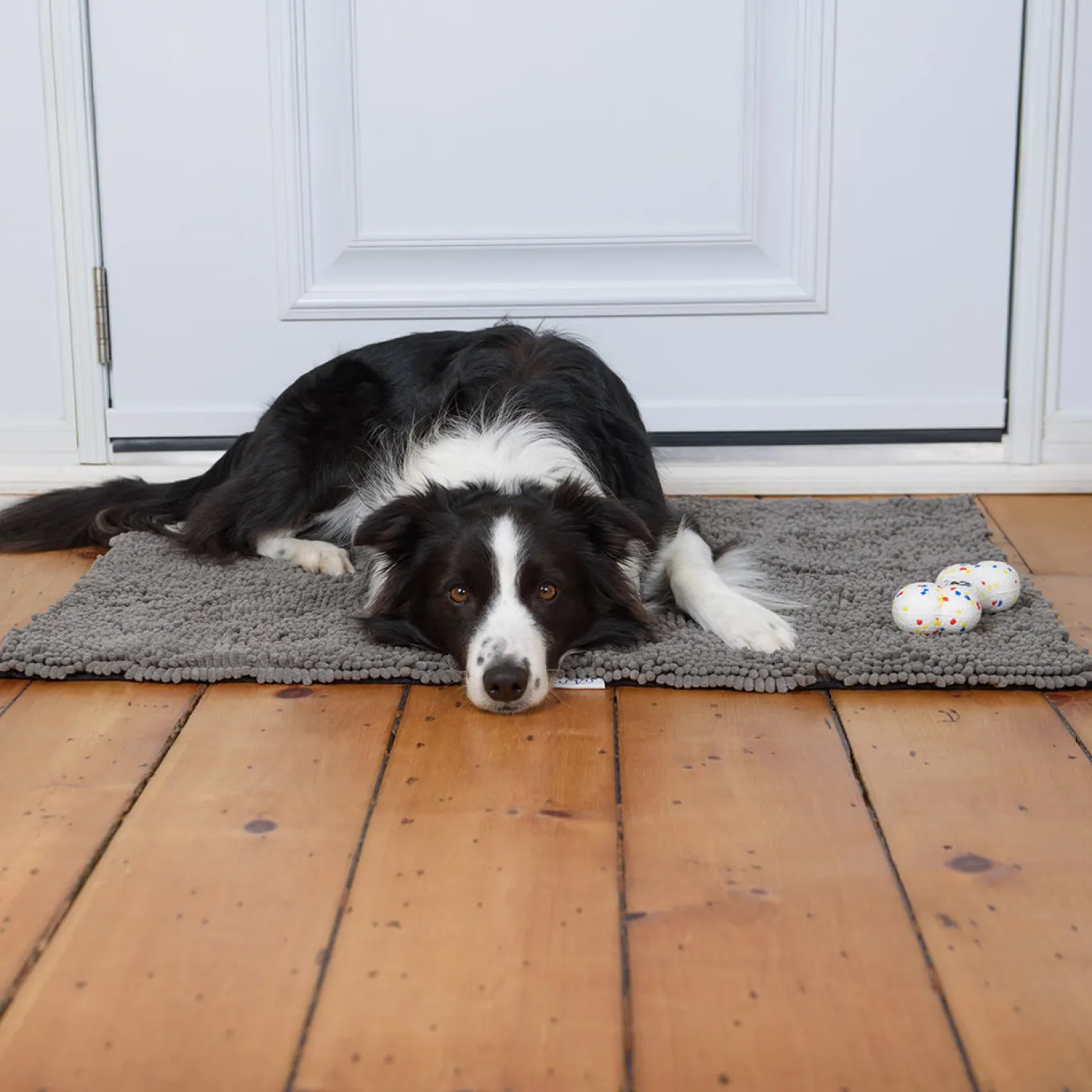 Shedrow K9 Mud Mat