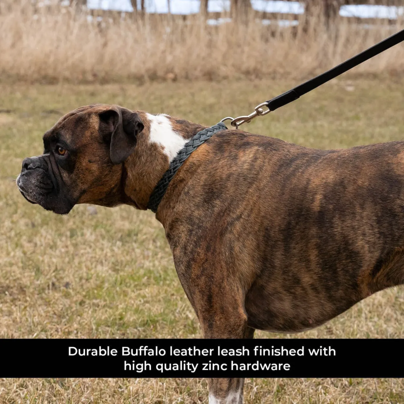 Shedrow K9 Rideau Braided Rope & Leather Leash