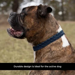 Shedrow K9 Rideau Braided Rope & Leather Collar