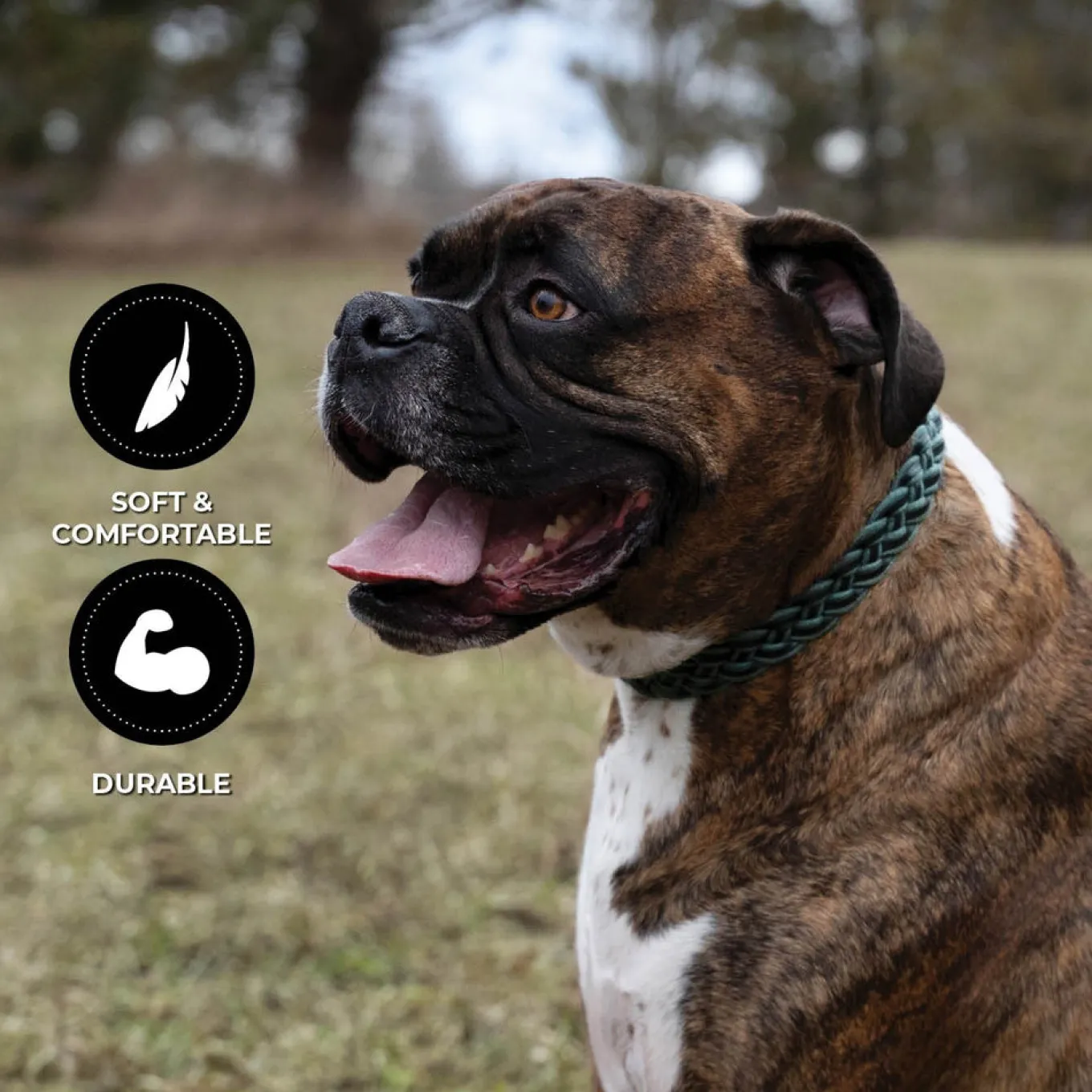 Shedrow K9 Rideau Braided Rope & Leather Collar