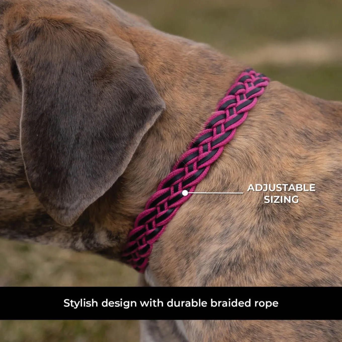 Shedrow K9 Rideau Braided Rope & Leather Collar