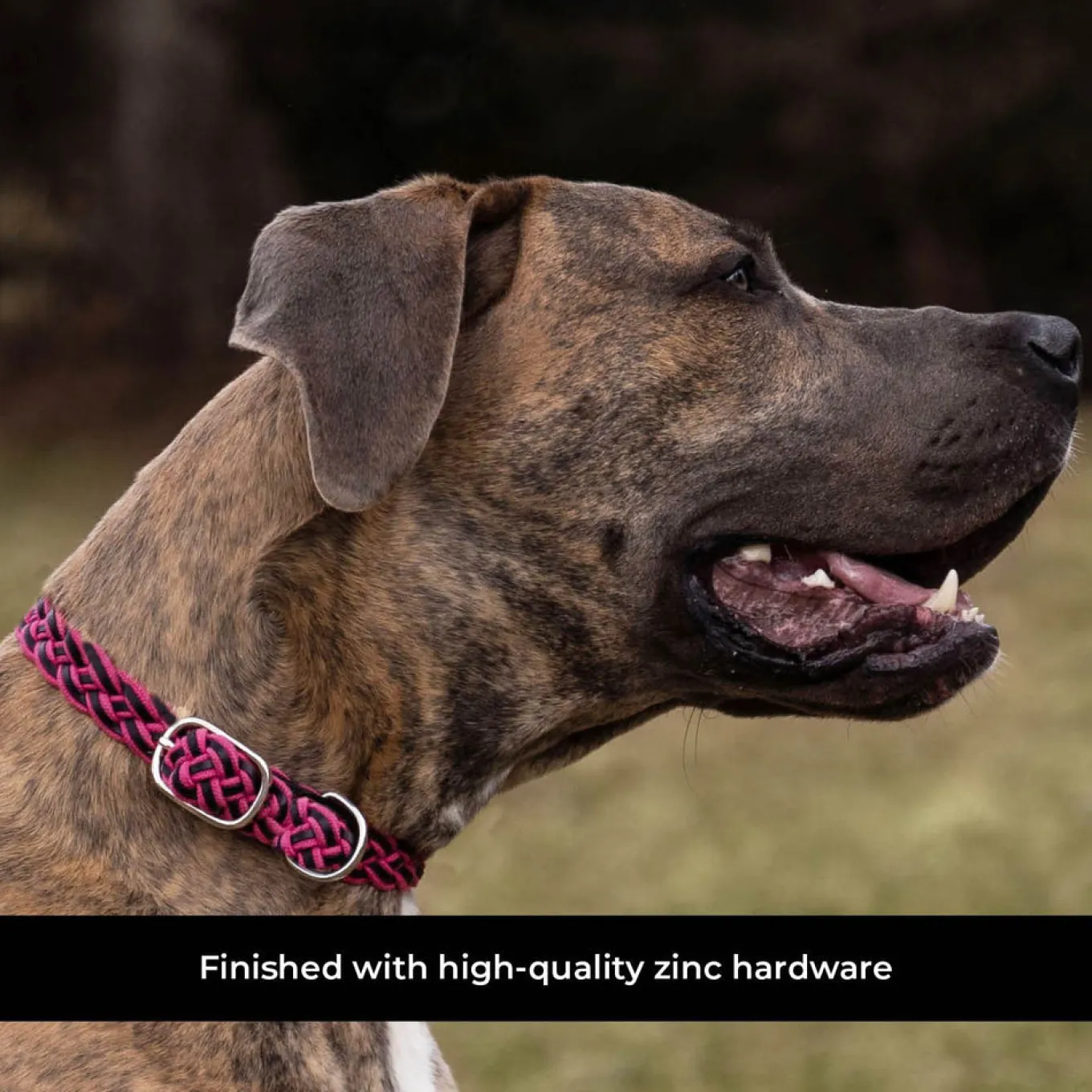 Shedrow K9 Rideau Braided Rope & Leather Collar