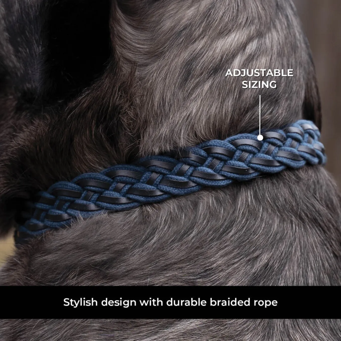 Shedrow K9 Rideau Braided Rope & Leather Collar