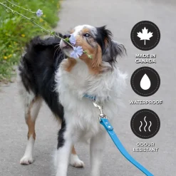 Shedrow K9 Tofino II Waterproof Leash 1.5 m