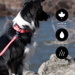 Shedrow K9 Tofino II Waterproof Leash 1.5 m