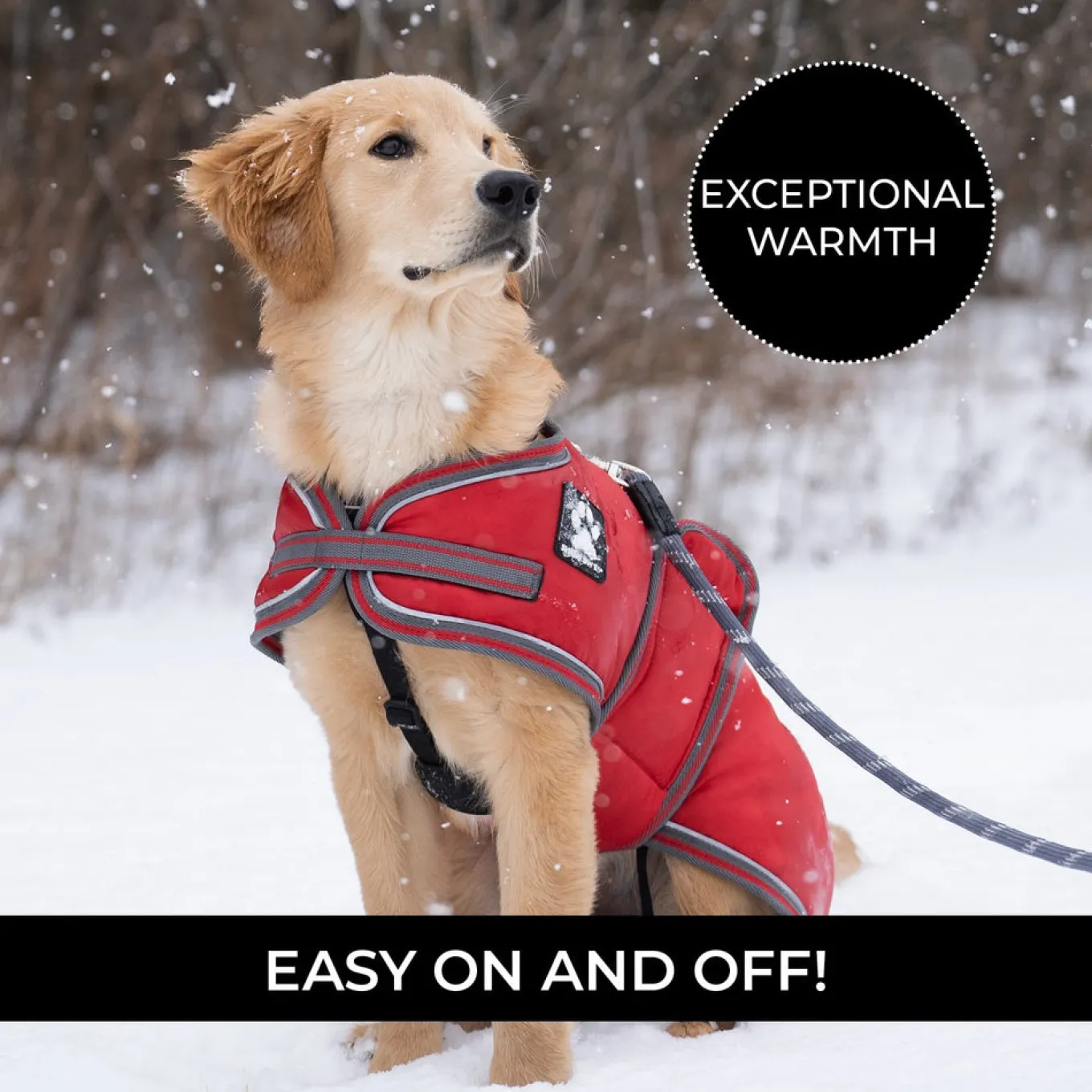 Shedrow K9 Vail Dog Coat