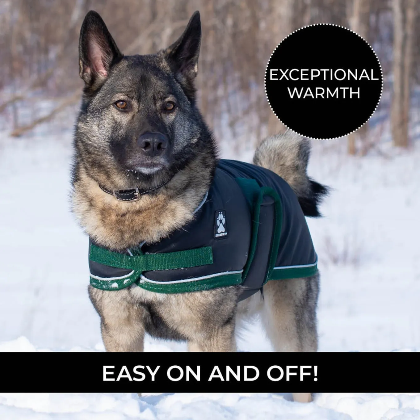 Shedrow K9 Vail Dog Coat