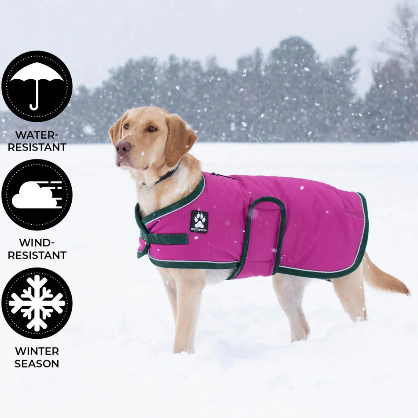 Shedrow K9 Vail Dog Coat