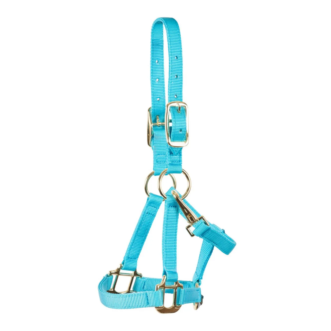 Shedrow Mini Nylon Halter