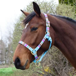 Shedrow Ribbon Halter