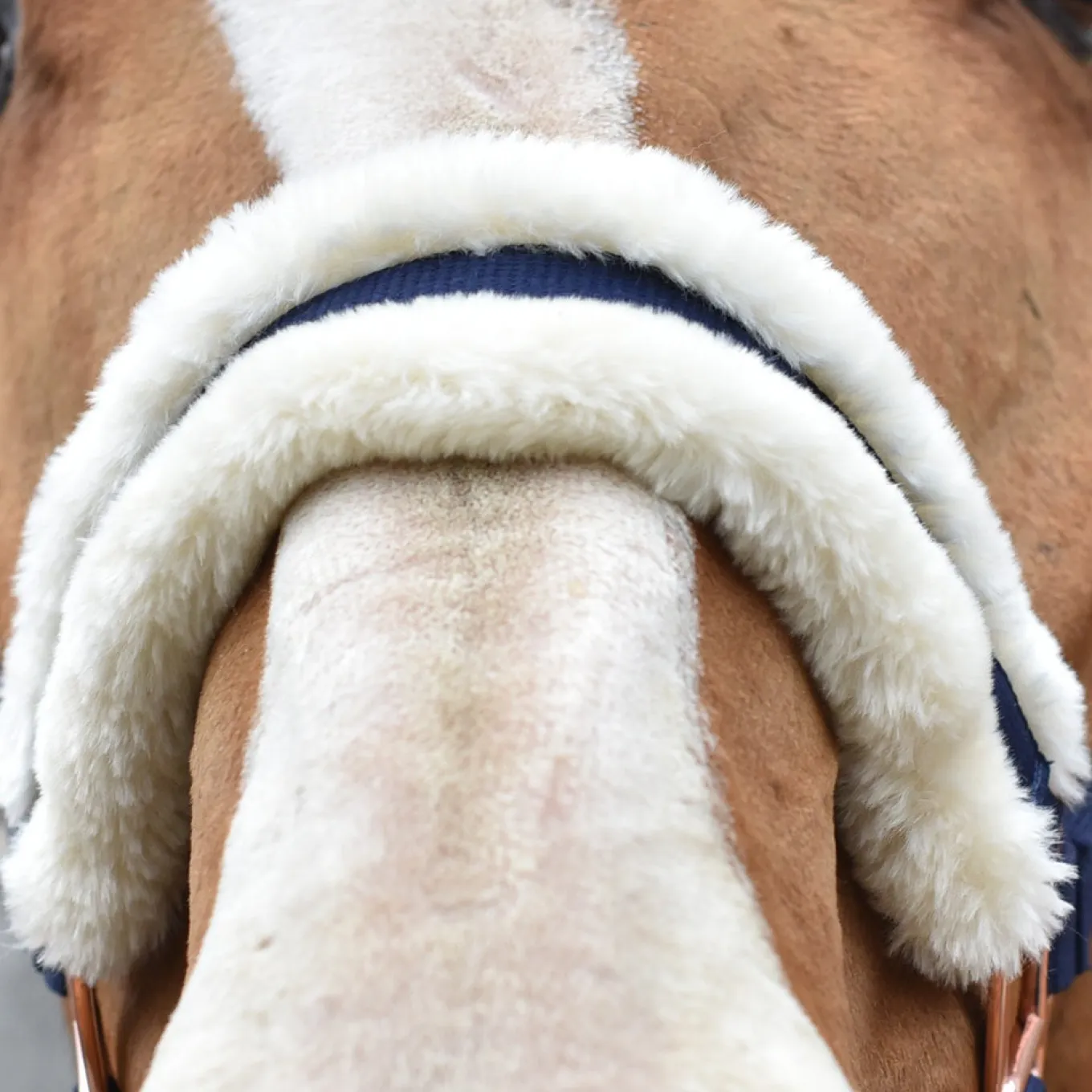 Shedrow Rose Gold Sheepskin Lined Halter