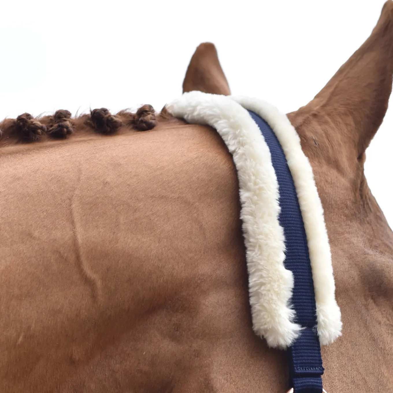 Shedrow Rose Gold Sheepskin Lined Halter