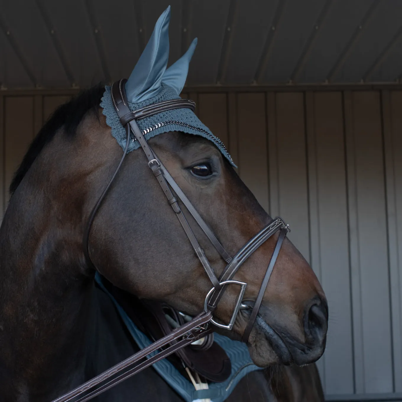 Shedrow Saber Fly Veil