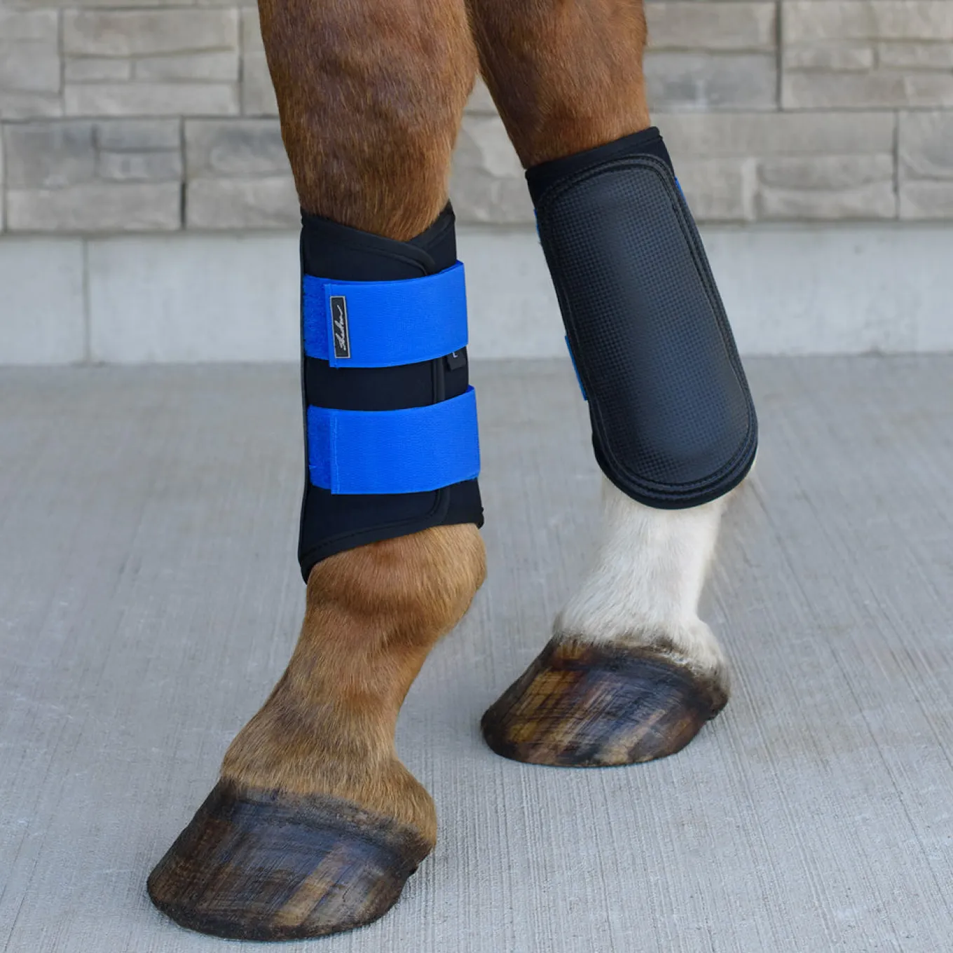 Shedrow Schooling Boots W/ Coloured Velcro