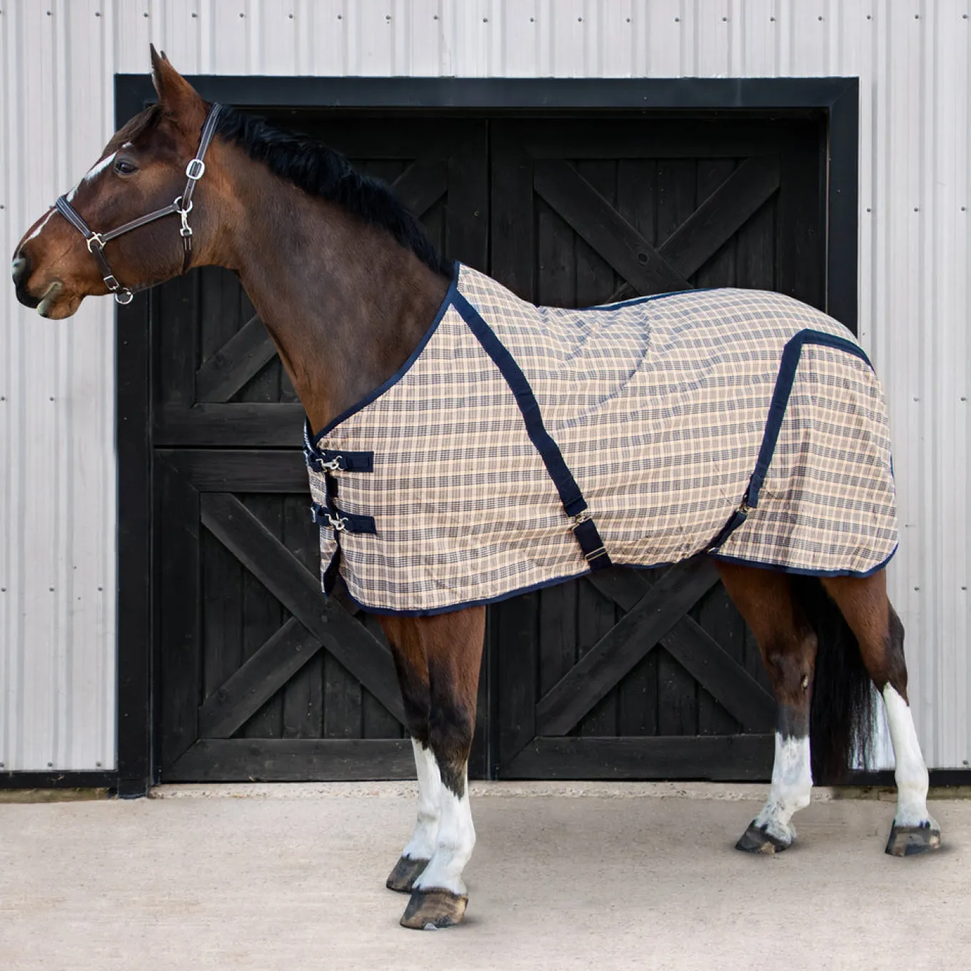 Shedrow Traditional Plaid Sheet