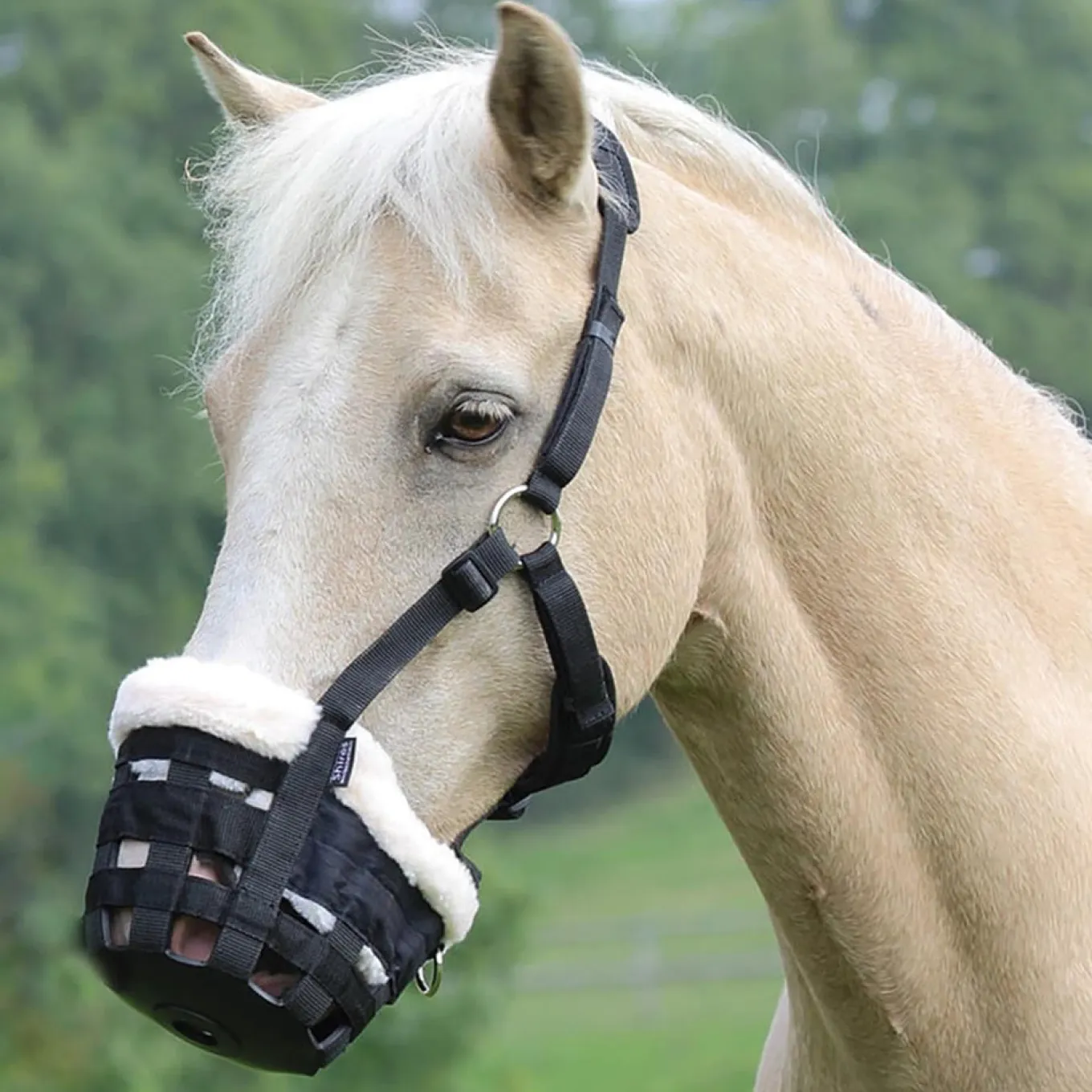 Shires Deluxe Grass Muzzle