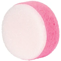 Small Scrub Sponge