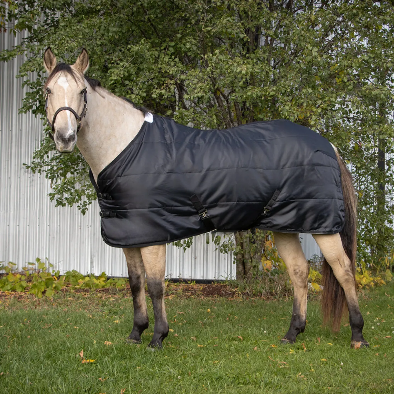Stable Blanket 100 g