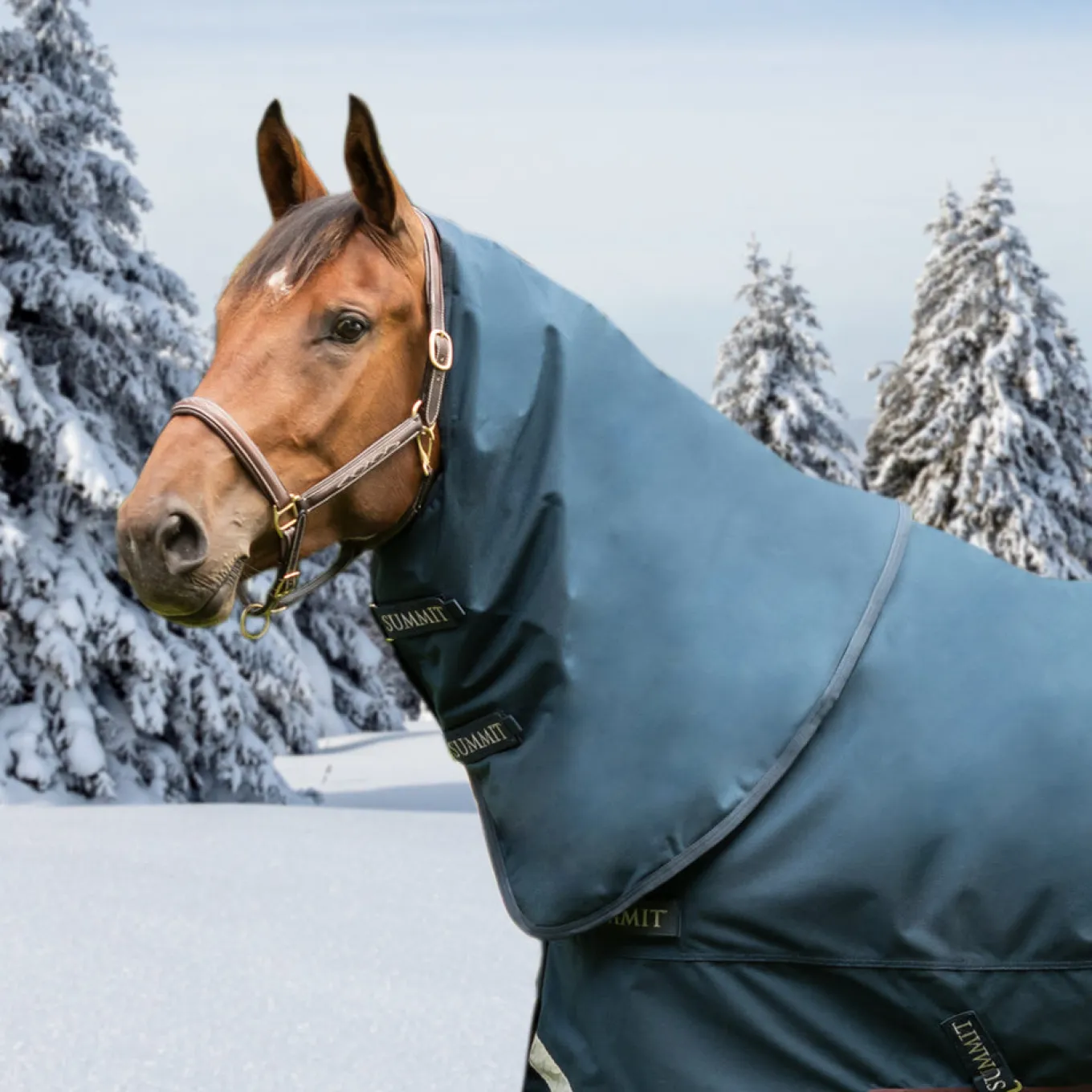 Summit Nova Hood 150 g