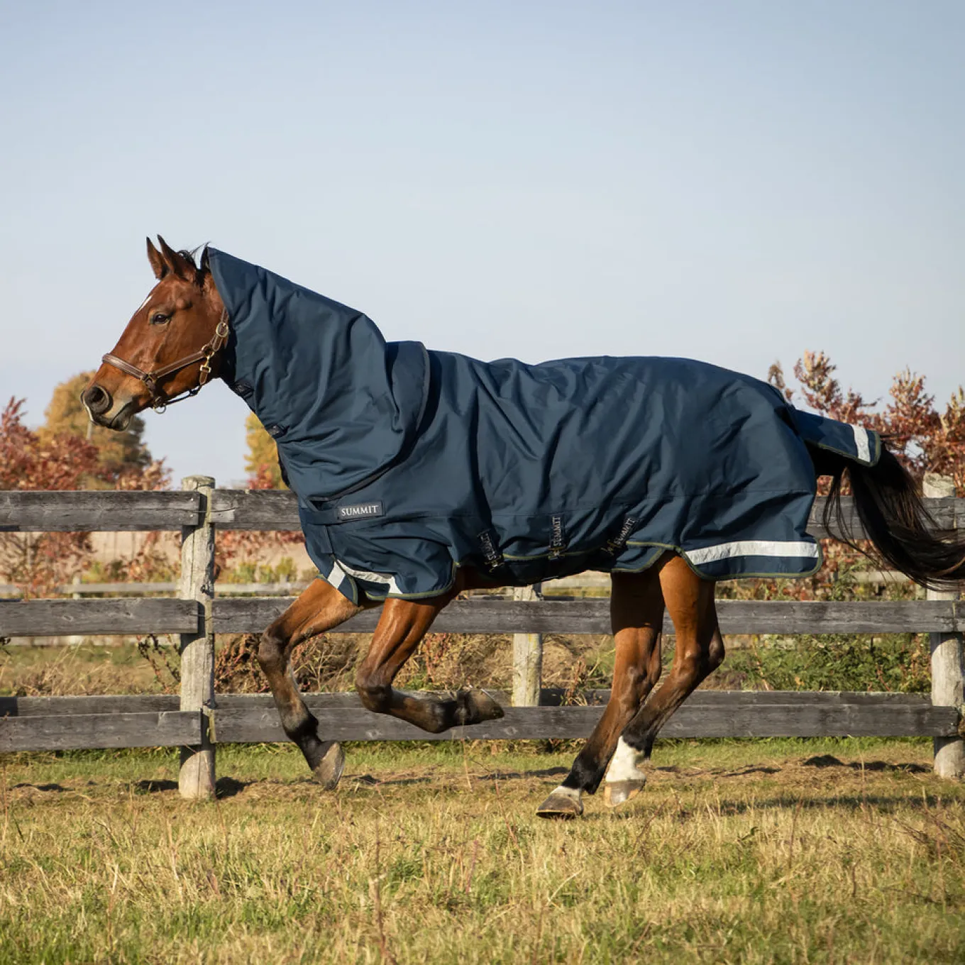 Summit Nova Turnout Blanket 100 g W/ Hood
