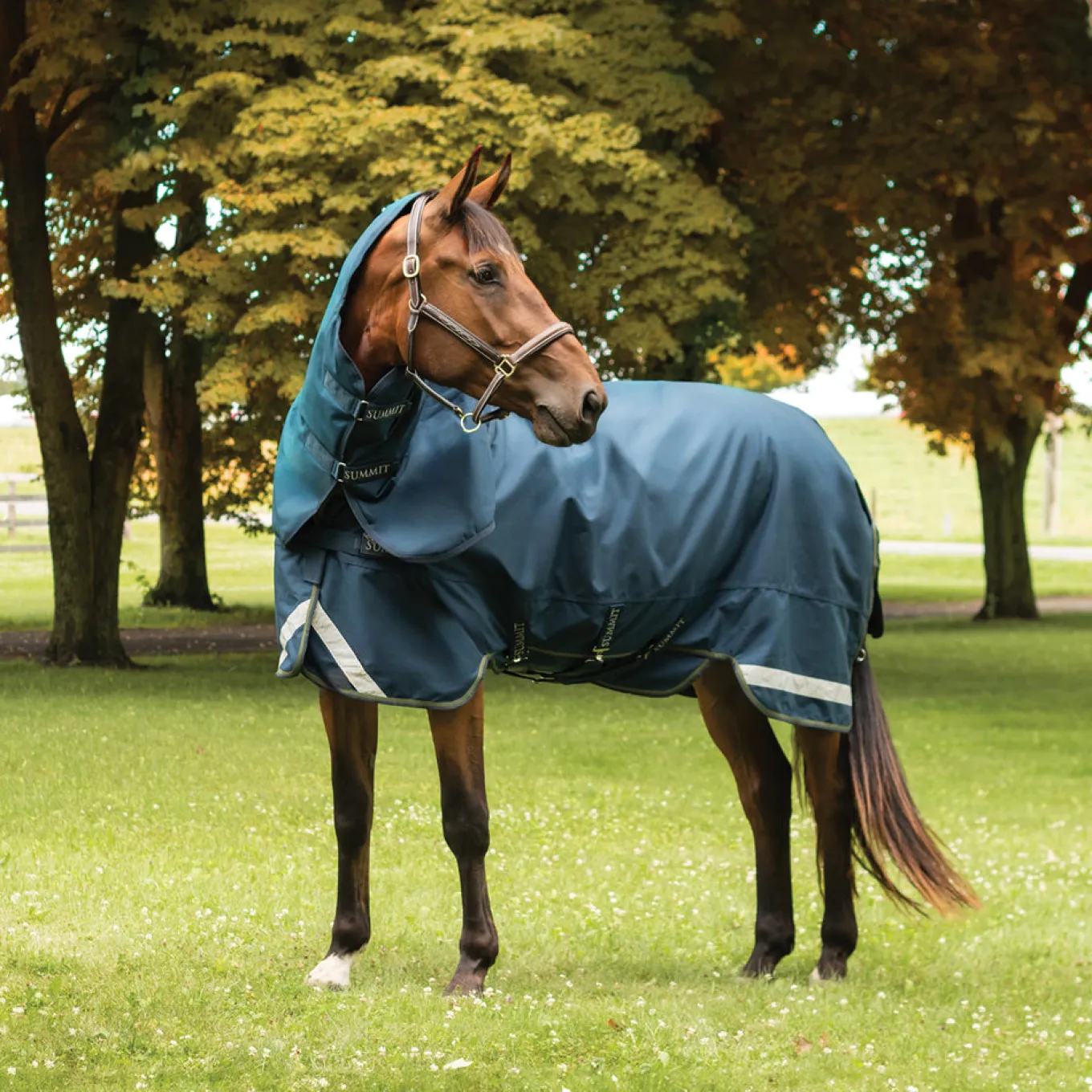 Summit Nova Turnout Blanket 100 g W/ Hood
