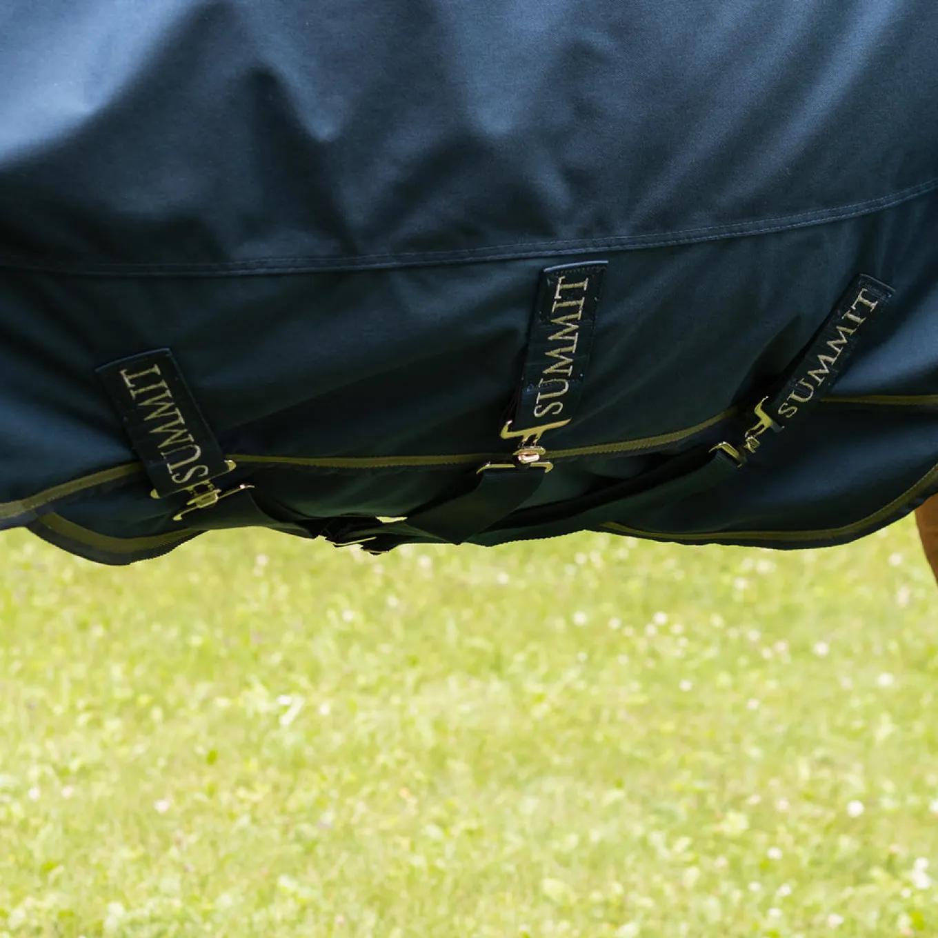 Summit Nova Turnout Blanket 100 g W/ Hood