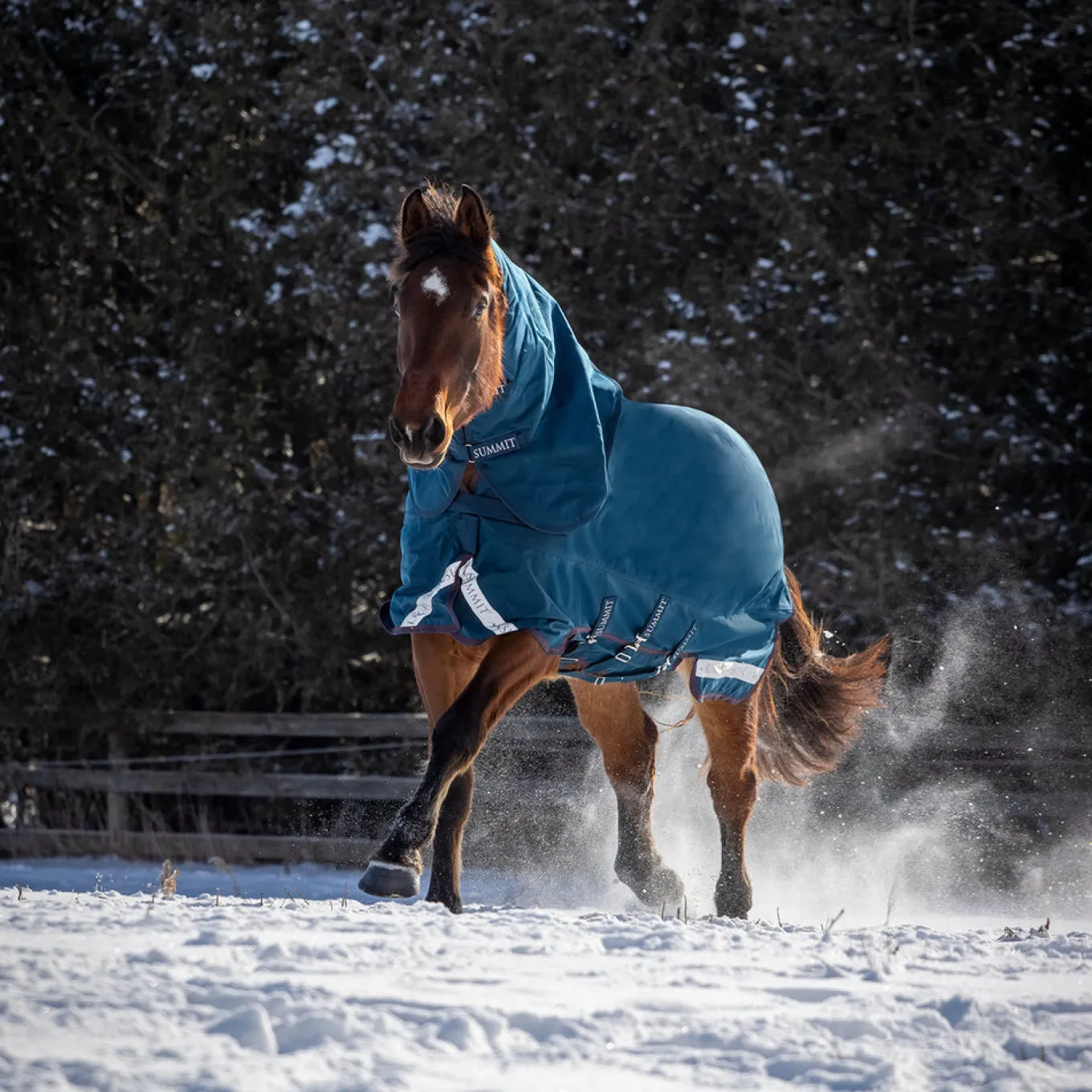 Summit Nova Turnout Blanket 400 g W/ 150 g Hood