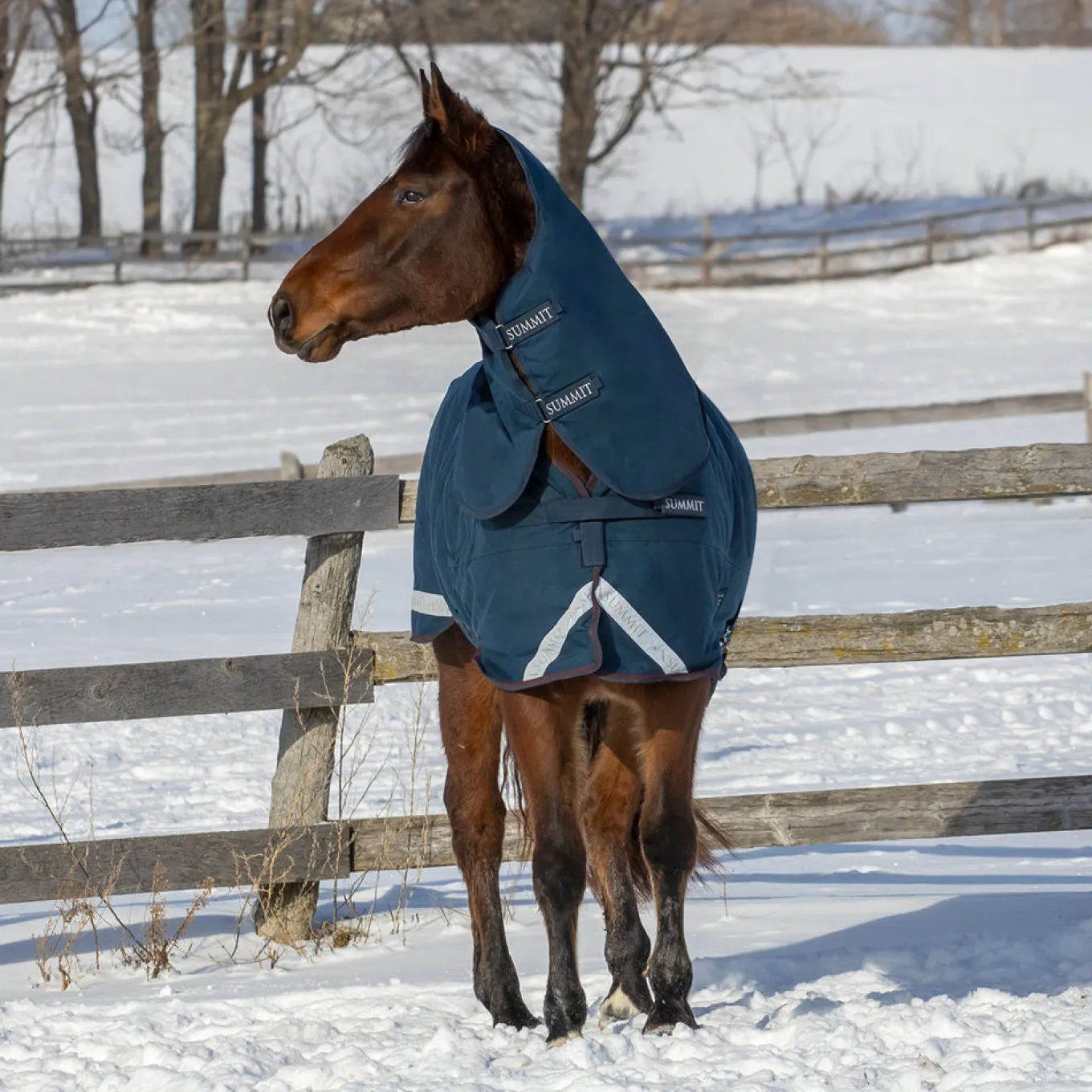 Summit Nova Turnout Blanket 400 g W/ 150 g Hood