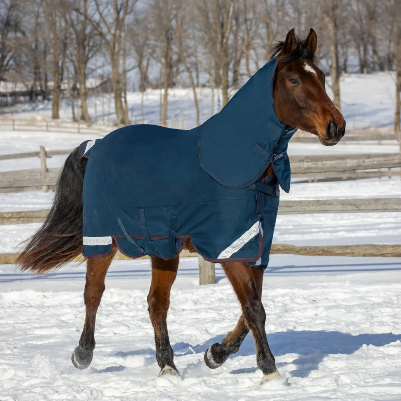 Summit Nova Turnout Blanket 400 g W/ 150 g Hood