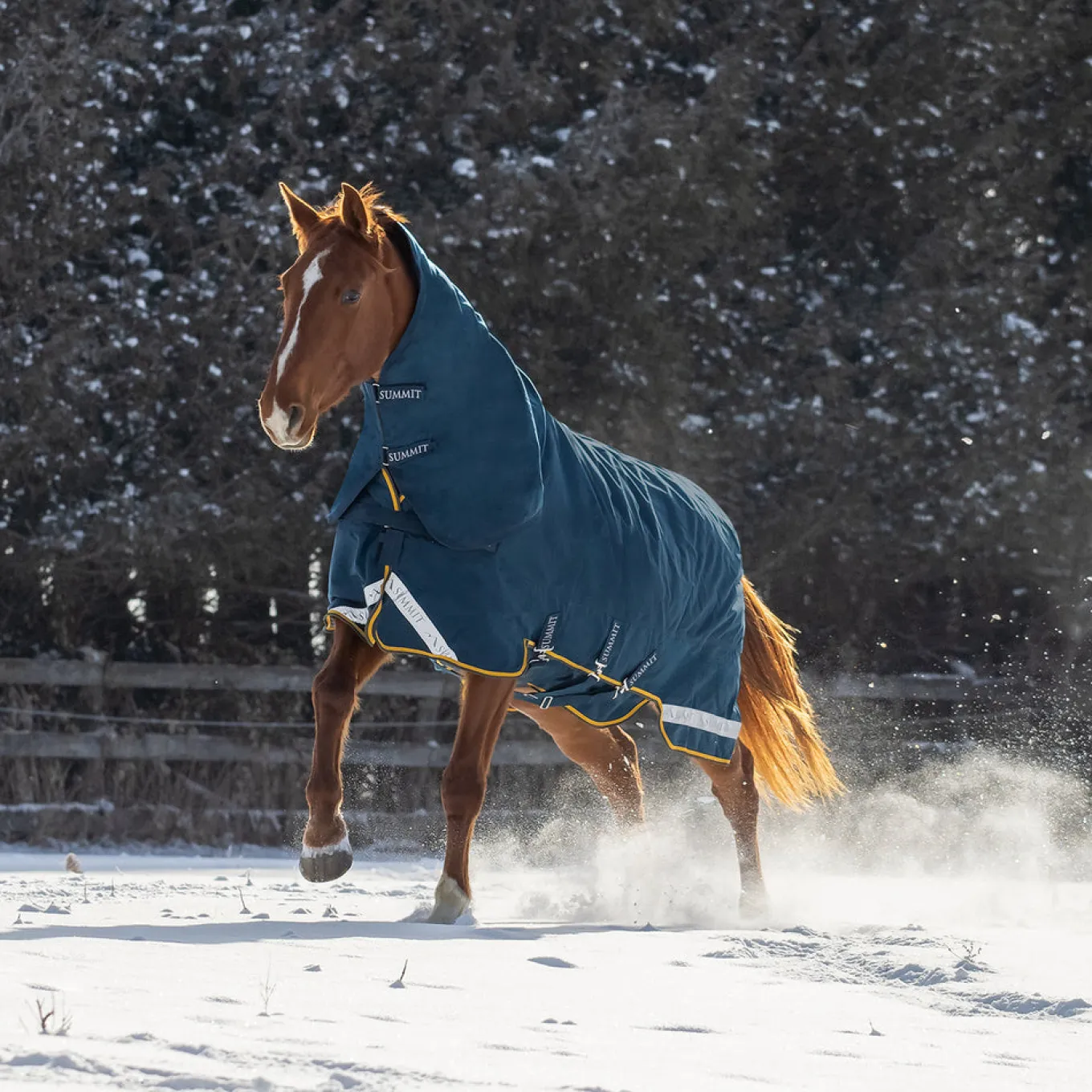 Summit Nova Turnout Blanket 250 g W/ 150 g Hood