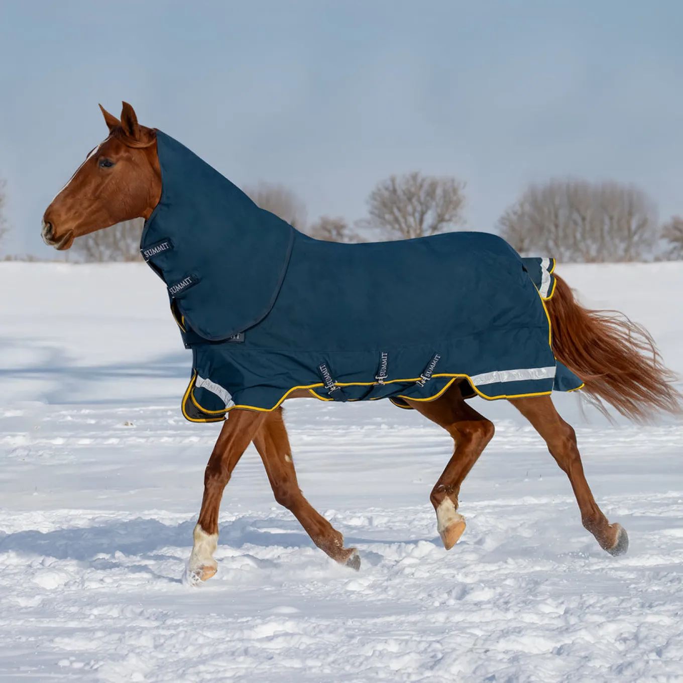 Summit Nova Turnout Blanket 250 g W/ 150 g Hood