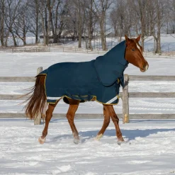 Summit Nova Turnout Blanket 250 g W/ 150 g Hood