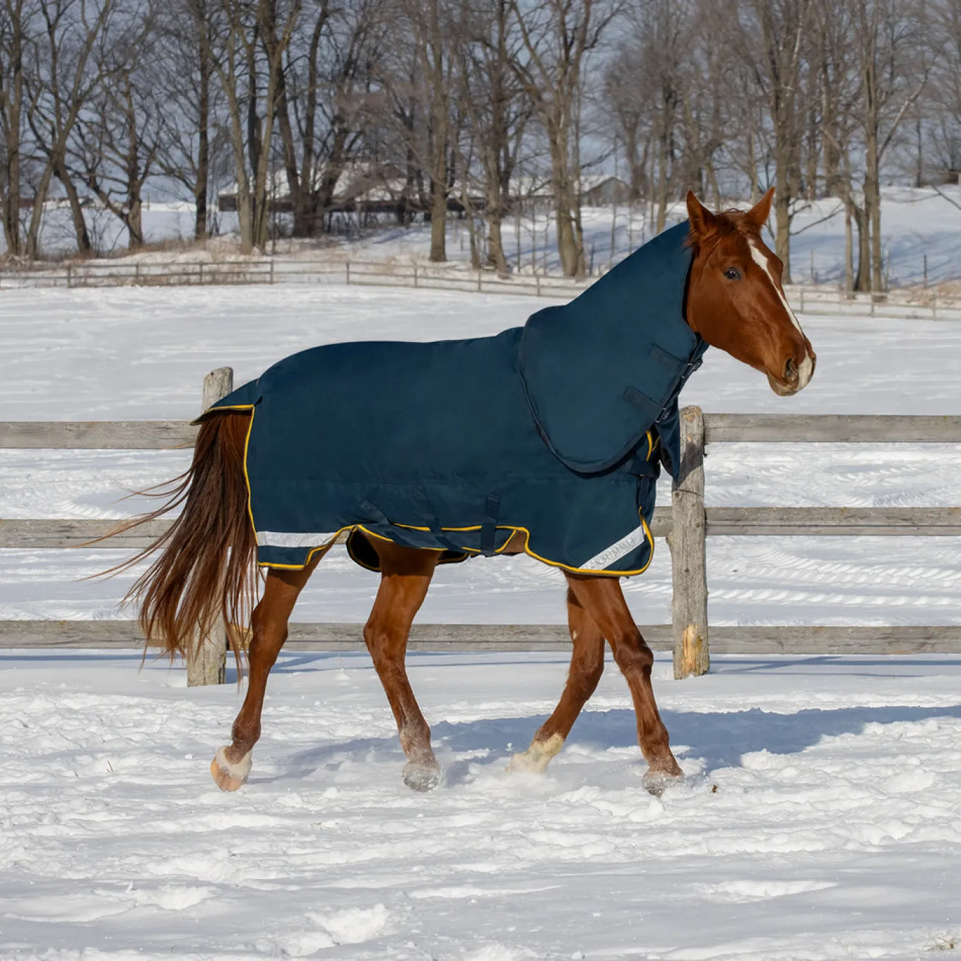 Summit Nova Turnout Blanket 250 g W/ 150 g Hood