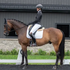 Summit Sydney Dressage Saddle Pad