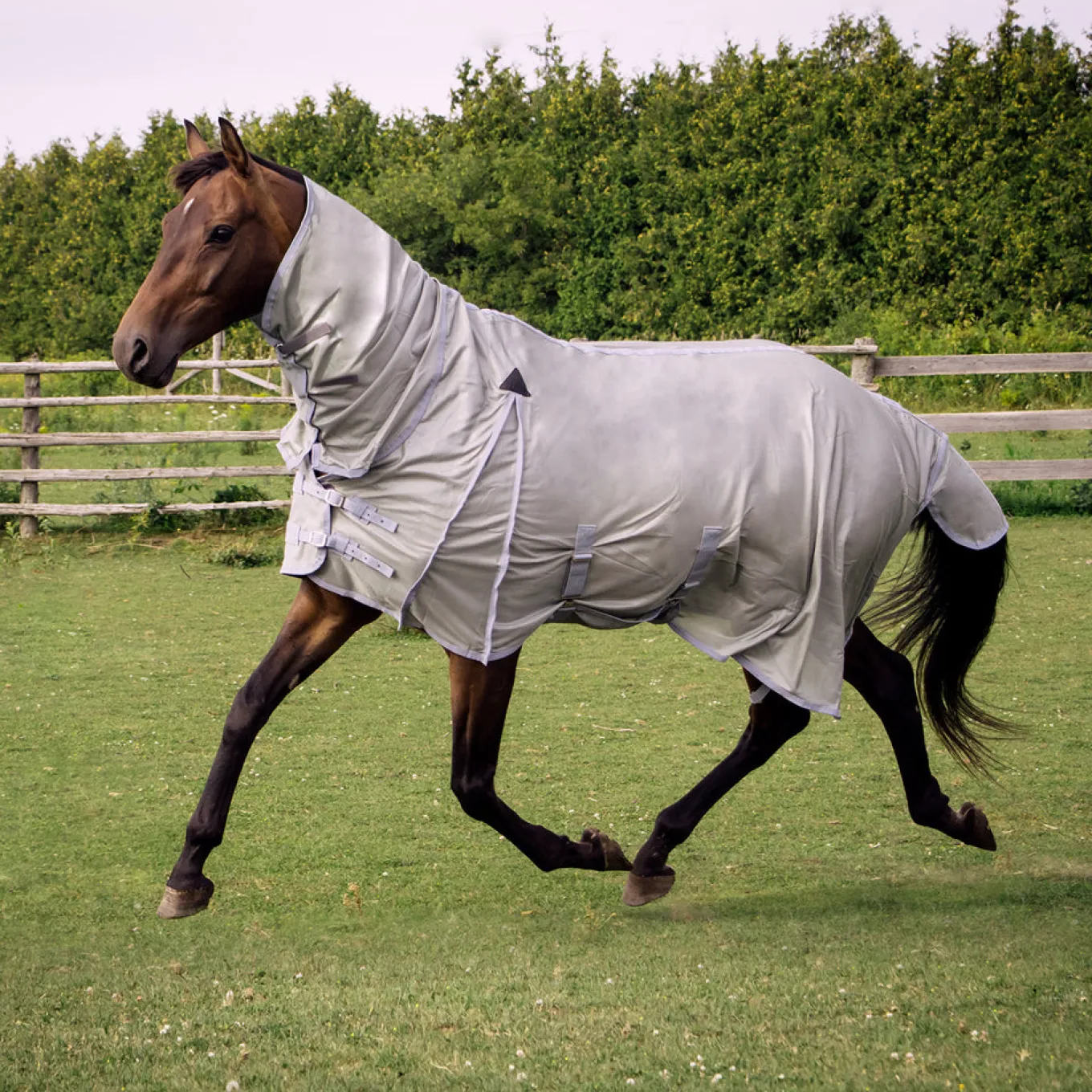 Supra Full Neck Mesh Fly Sheet